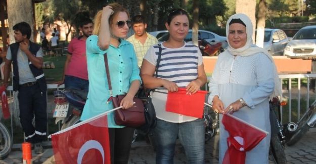 Harranlı kadınlar her eve Türk Bayrağı dağıtıyor