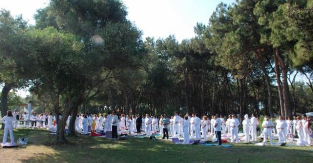 Uluslararası Yoga Festivali  25 - 26 Mart 2007 tarihlerinde İstanbul / Şile'de gerçekleştirilecek.