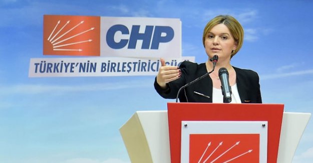 Selin Sayek Böke CHP'deki görevlerinden istifa etti