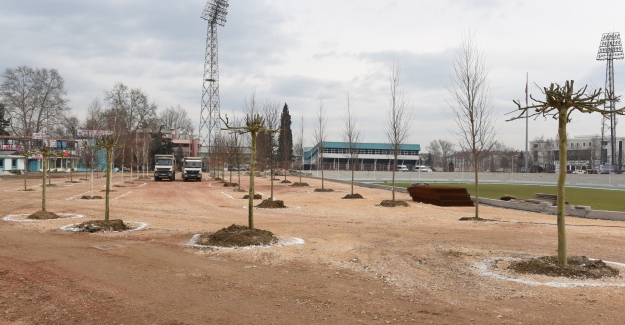 Eski Stadyum Bölgesi komple yeşil alan yapılıyor