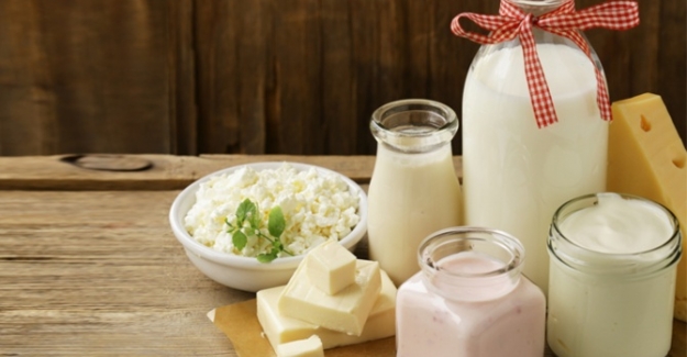 Türkiye, Amerika'dan süt ürünleri ithalatı yapacak