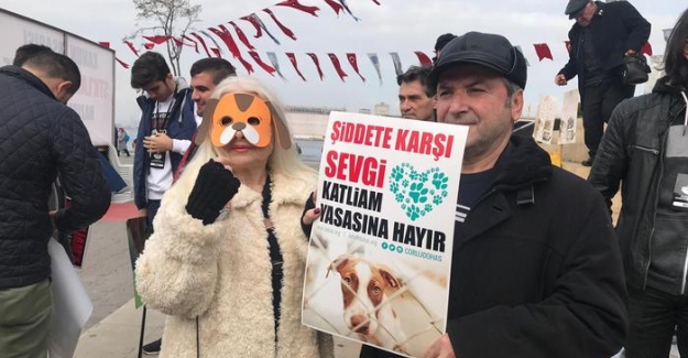 Hayvana karşı şiddet yasasına protesto