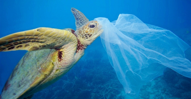 Yoksul ülkelerin plastik atık çöplüğüne dönüşmesini engelleyen sözleşmeyi, ABD hariç, 187 ülke kabul etti
