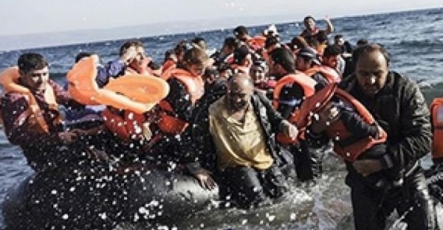 Bodrum açıklarında tekne faciası: 8 kaçak sığınmacı hayatını kaybetti