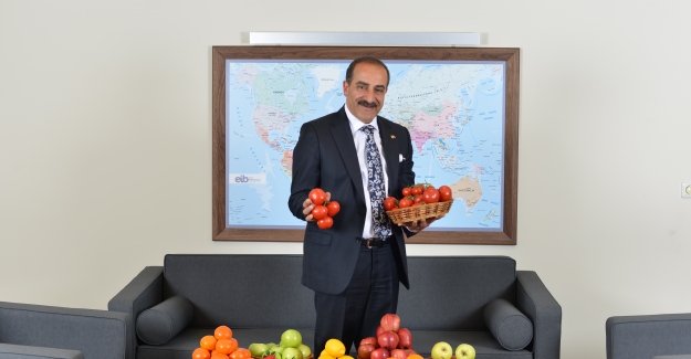 Türkiye domatesten 1 milyar dolar döviz hedefliyor
