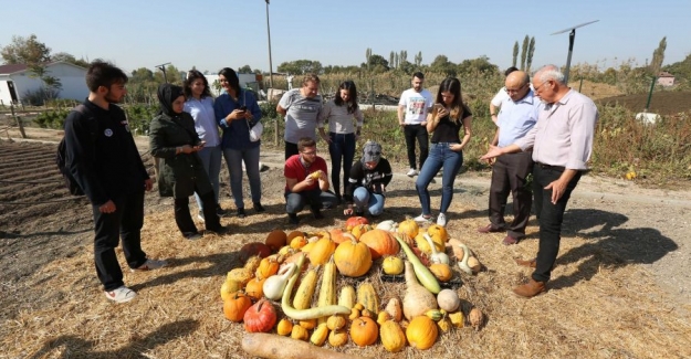 Nilüfer'de Organik Tarım'ın tanıtım ve yaygınlaştırılma çalışmaları