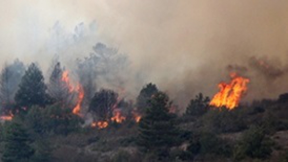 Bolu'nun Dörtdivan ilçesi ormanlık bölgesinde yangın!..