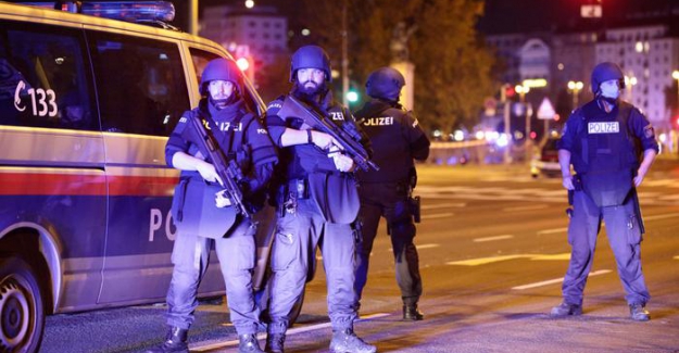 Viyana'da sinagog yakınlarında terör saldırısı