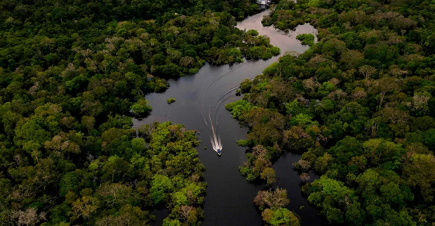 Facebook'ta satılık Amazon yağmur ormanları