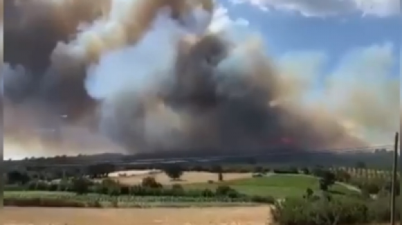 Çanakkale Bayramiç'te çıkan orman yangını nihayet kontrol altına alındı