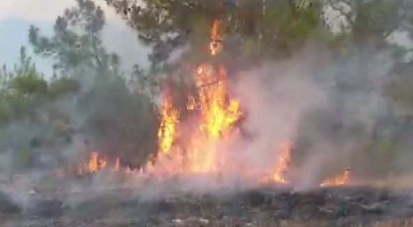 Kıbrıs'ta 4 bölgede başlayan yangınlar rüzgarla yayılmaya devam ediyor