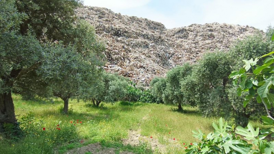 Deprem bölgesinde enkaz atıkları sorunu: 'Zeytin ağaçlarının üzerine molozların döküldüğünü gördüm'