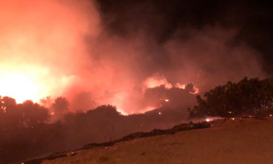 İzmir'in Çeşme ilçesinde orman yangını!