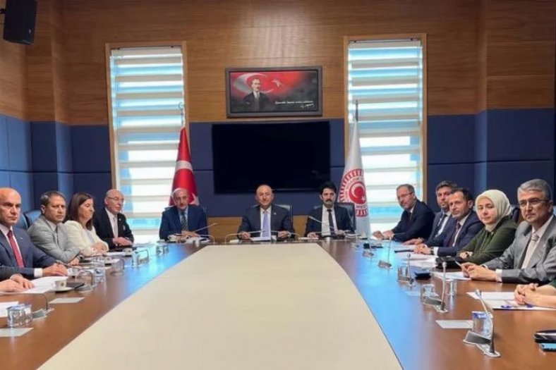 Mevlüt Çavuşoğlu, NATO PA Türk Delegasyonu Başkanı seçildi