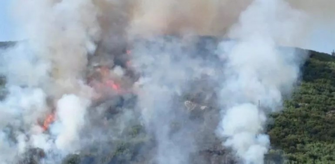 Yangınlar aldı yürüdü: Bu defa yine Muğla'da ikinci yangın