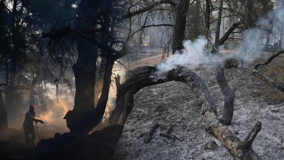 Çanakkale’de orman yangını: 9 köy tahliye edildi, 83 vatandaş dumandan etkilendi