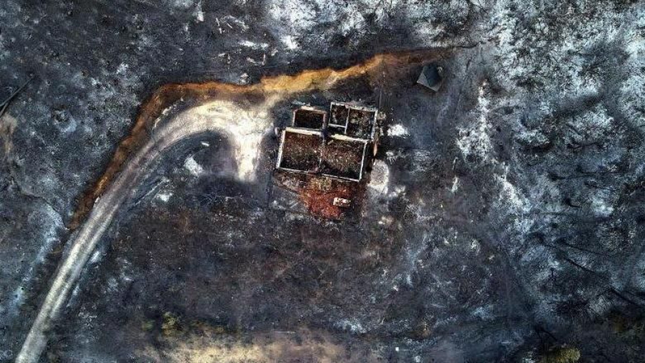 Yunanistan'ın Meriç Bölgesi'nde yanan ormanlık alanda 18 kişinin cesedi bulundu