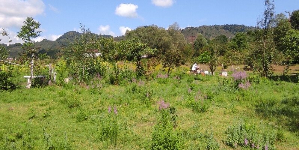İzmir'de İklim Dostu Çiftlikler Projesi başladı