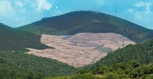Vahşet! Çanakkale'de siyanürle çalışan altın madeni firması, 180.000 insanın suyunu zehirliyor ve 195.000 ağaç kestiler!