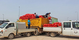 Karacabey’li çiftçi Ali Çakır 100 ton soğanı vatandaşa bağışladı