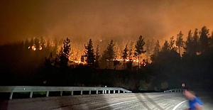 Adana'daki orman yangını nedeniyle 5 köy tahliye edildi