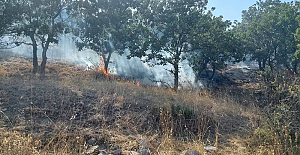 Orman yangını bu defa Çanakkale Ezine'de: 10 hektarlık arazi zarar gördü