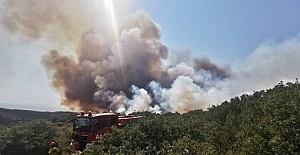 Muğla ve Çanakkale’de orman yangınları başladı