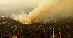 Orman yangınlarında son durum  - Bakan Ersoy: Marmaris'teki yangınlar tamamen söndürüldü