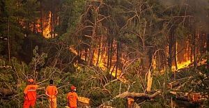 Orman yangınlarından etkilenen ilçeler için mücbir sebep hali ilan edildi