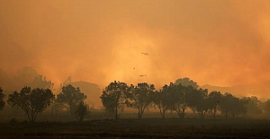 Pakdemirli: Muğla'daki beş yangın sürüyor