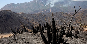 İspanya’da orman yangınları: 2 bin kişi evini terk etmek zorunda kaldı
