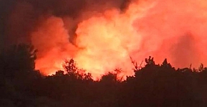 İzmir Karaburun'da orman yangını