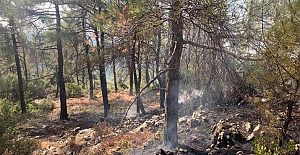 Muğla'da 13 ayrı bölgede çıkan orman yangınları kontrol altına alındı