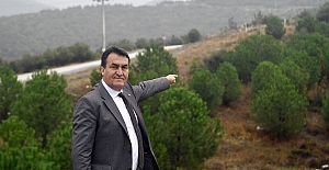Osmangazi’de bir milyon fidan ormana dönüşüyor