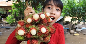 Uzakdoğudan yeni bir şifa kaynağı: Rambutan Meyvesi