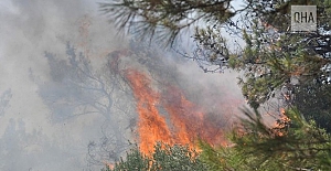 Muğla'nın Datça ilçesinde çıkan orman yangınına müdahale devam ediyor!