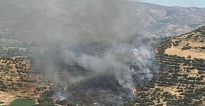 İzmir Kiraz ilçesinde orman yangını