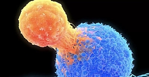 Bilim insanları deneysel bir araştırmada 'kişiye özel kanser tedavisi' üzerine çalışıyor