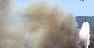 Hatay'da orman yangını: Evler tahliye edildi ve 2 kişi gözaltına alındı
