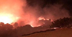 İzmir'in Çeşme ilçesinde orman yangını!