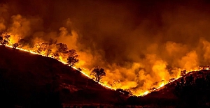 MİT, orman yangınlarına talimat veren teröristi etkisiz hale getirdi