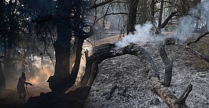 Çanakkale’de orman yangını: 9 köy tahliye edildi, 83 vatandaş dumandan etkilendi