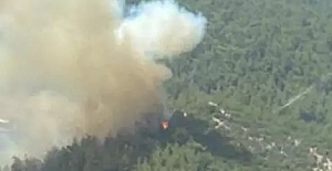 İzmir'in Menderes İlçesinde Orman Yangını!