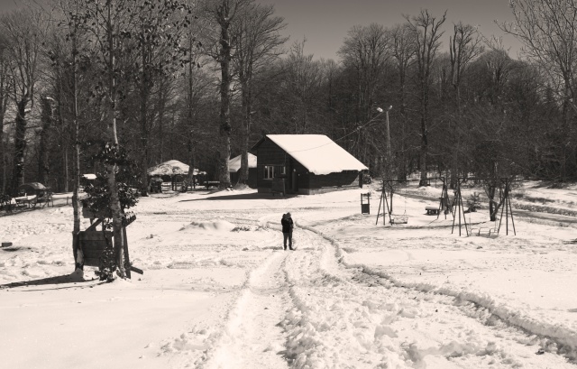 Nimet Çoban'dan günün kareleri - 16