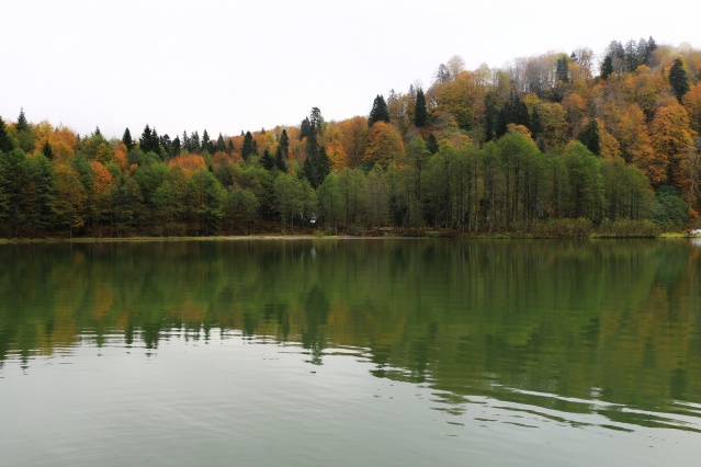 Nimet Çoban'dan Günün Kareleri..14