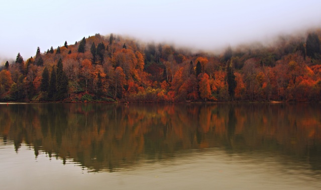Nimet Çoban'dan günün kareleri - 19
