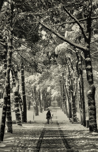 Nimet Çoban'dan günün kareleri - 16