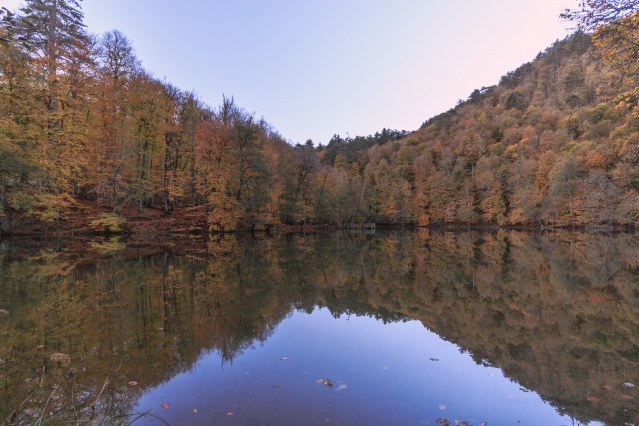 Nimet Çoban'dan Günün Kareleri..28