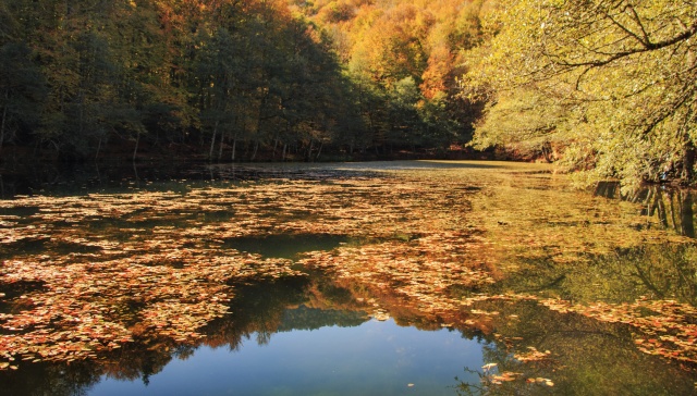 Nimet Çoban'dan Günün Kareleri..29