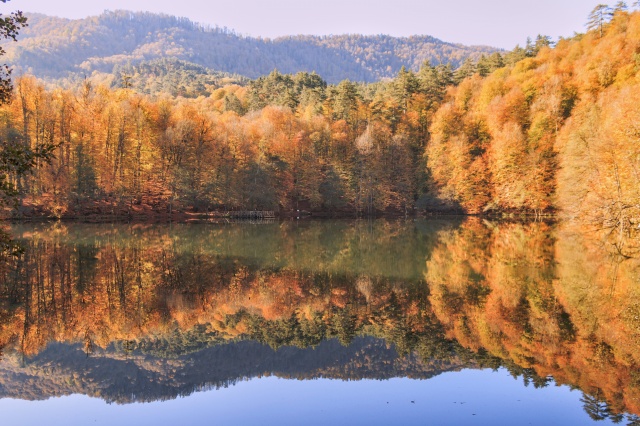 Nimet Çoban'dan Günün Kareleri..31